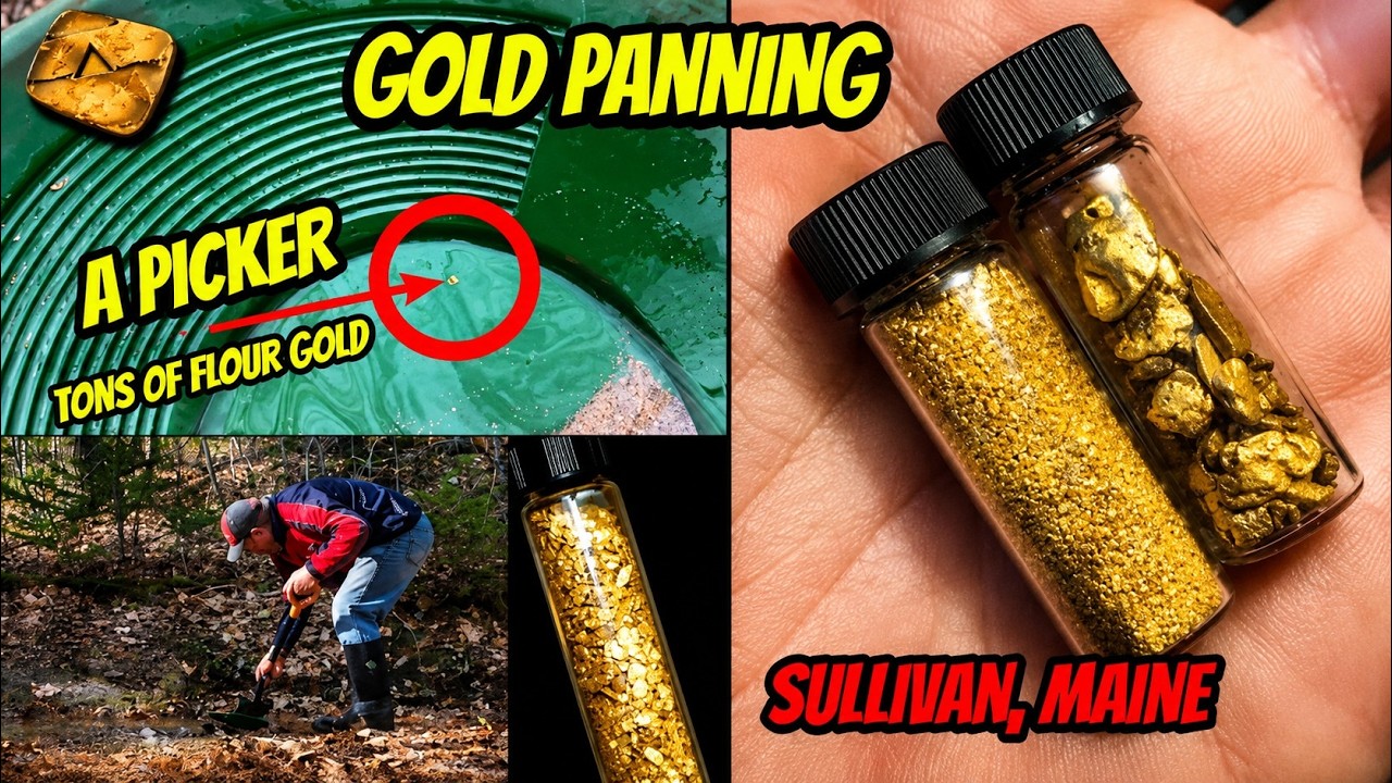 Gold Picker Maine Gold Panning 1 #Maine #Gold #Panning #Prospecting #Nugget