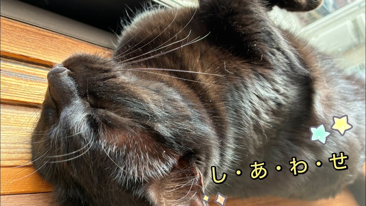 し・あ・わ・せ