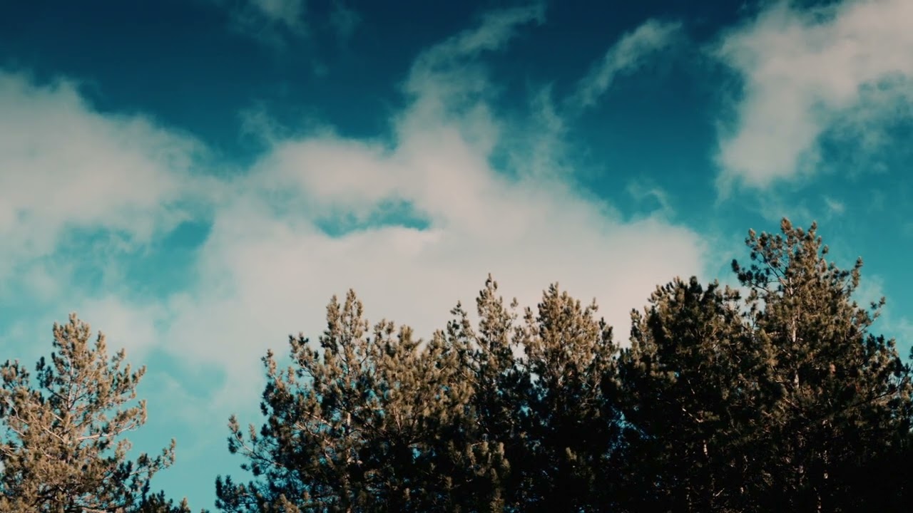 Nothing Else- Cody Carnes (s l o w e d + r e v e r b)