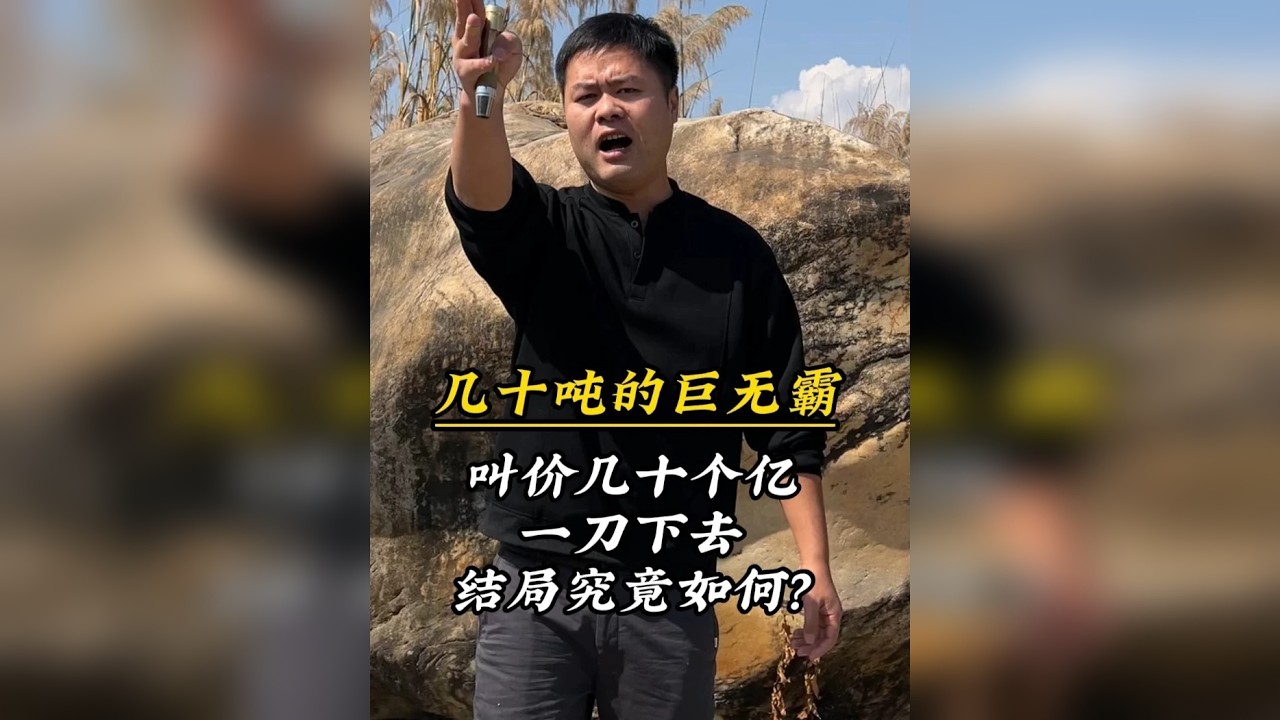 几十吨的巨无霸，叫价几十个亿一刀下去结局究竟 如何？