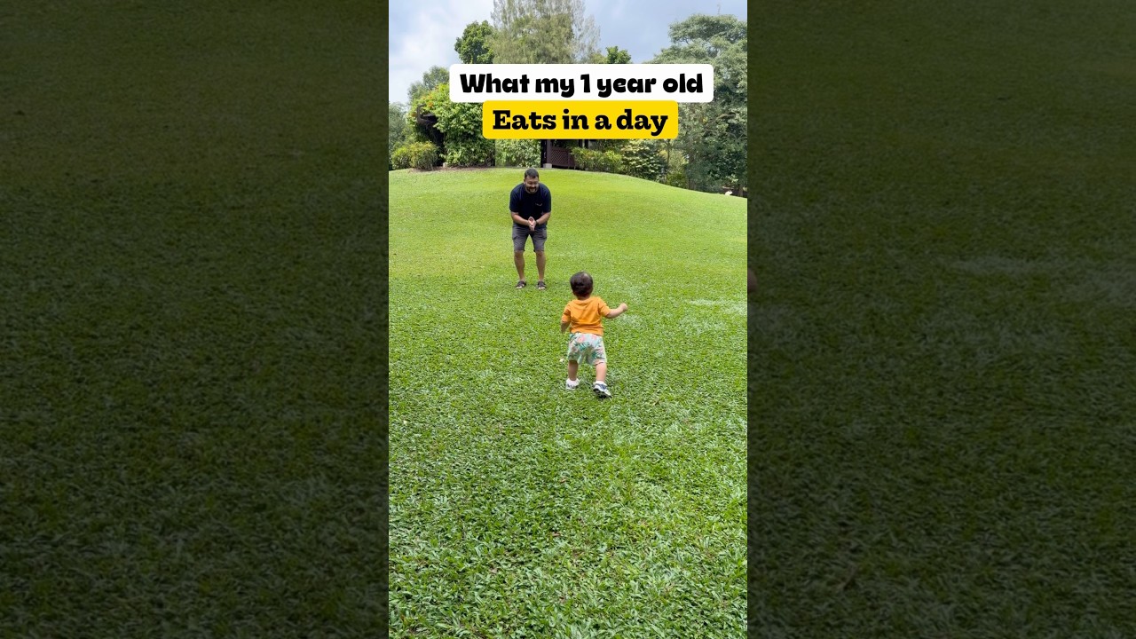 What my 1year old eats in a day 