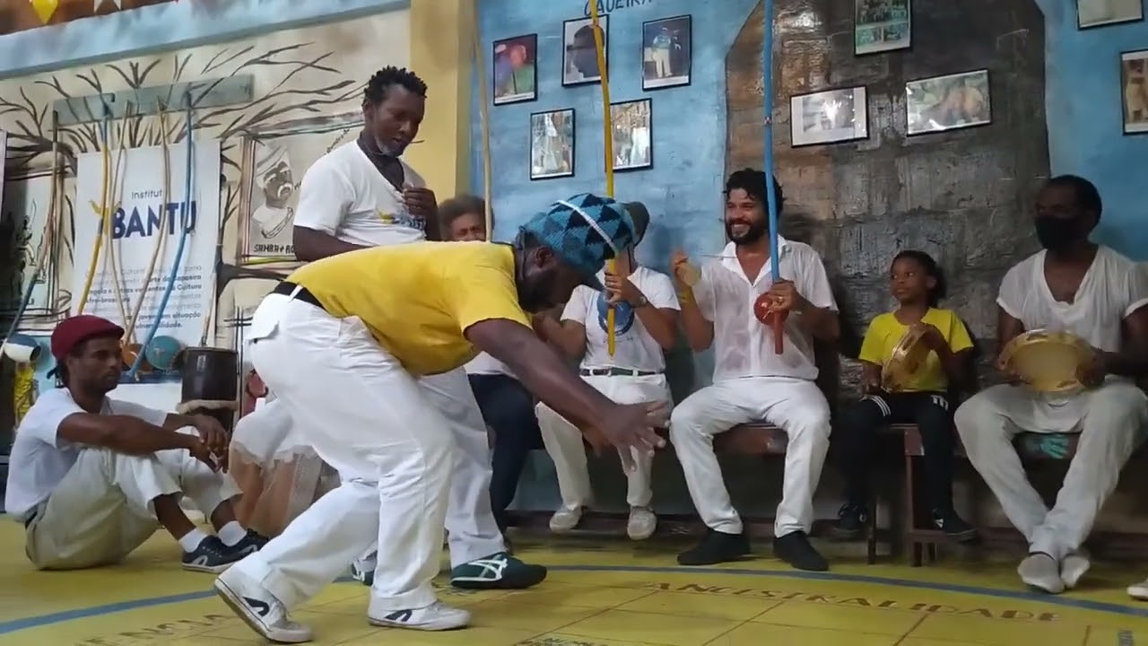 Mestre pingo e mestre roxinho 