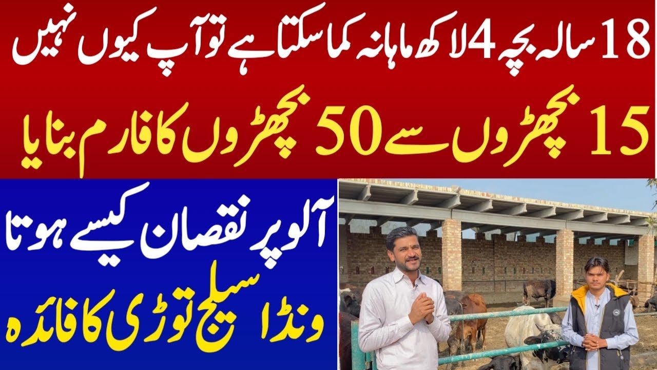 90 days bachra Farming Business idea in pakistan