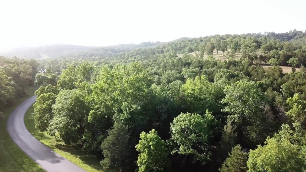 Summer drone flight