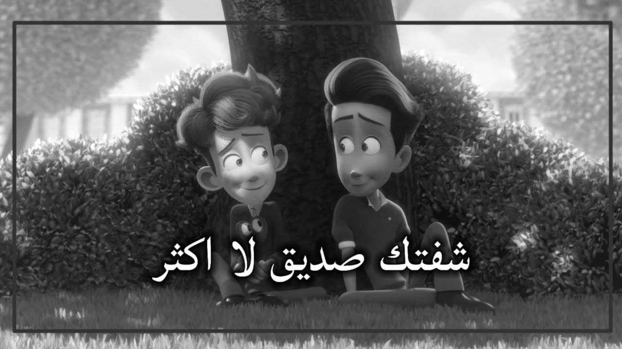 أجمل صدفة 💛|| حالات واتس اب عن الصداقة والأصدقاء-مقاطع قصيرة-مقاطع انستقرام