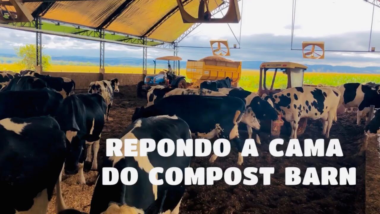 REPONDO A CAMA DO COMPOST BARN