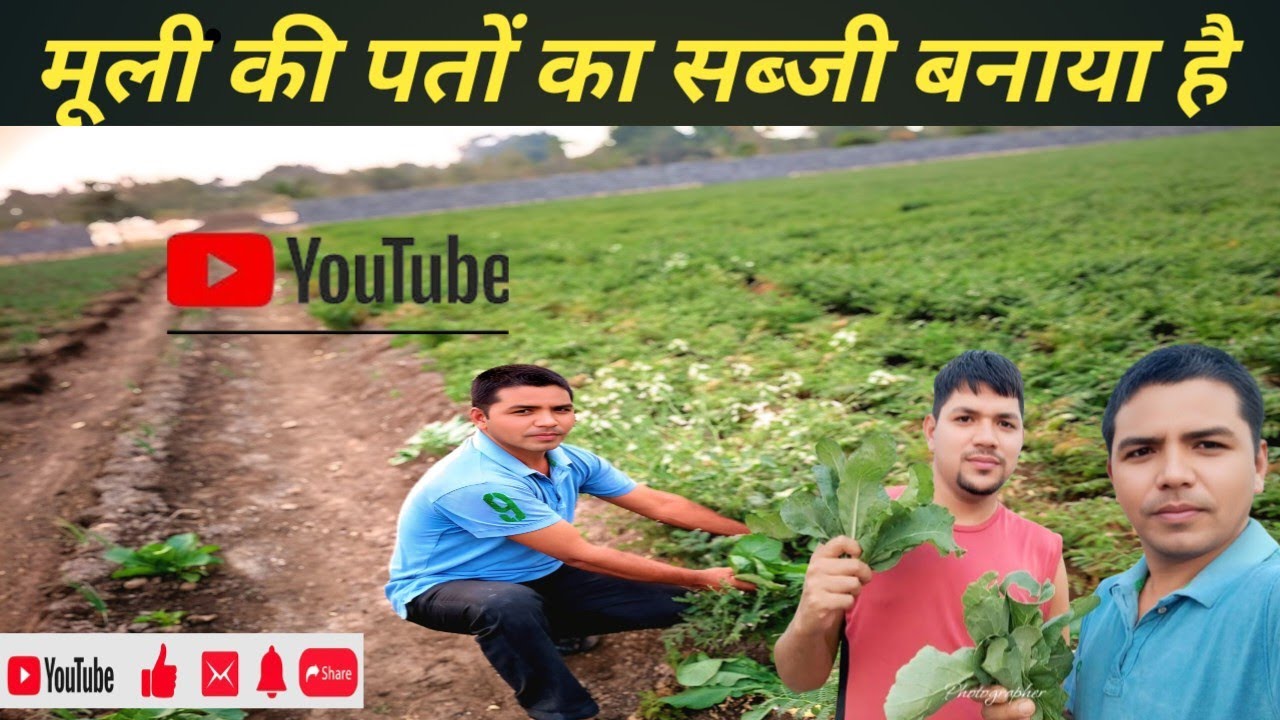 🔥हमनें आज खेत llसे निकलने के बाद बनाया🔪मूली के पत्तों का साग🥕