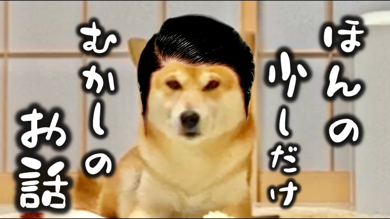 柴犬こむぎとあるじの少し前のお話【一気見】