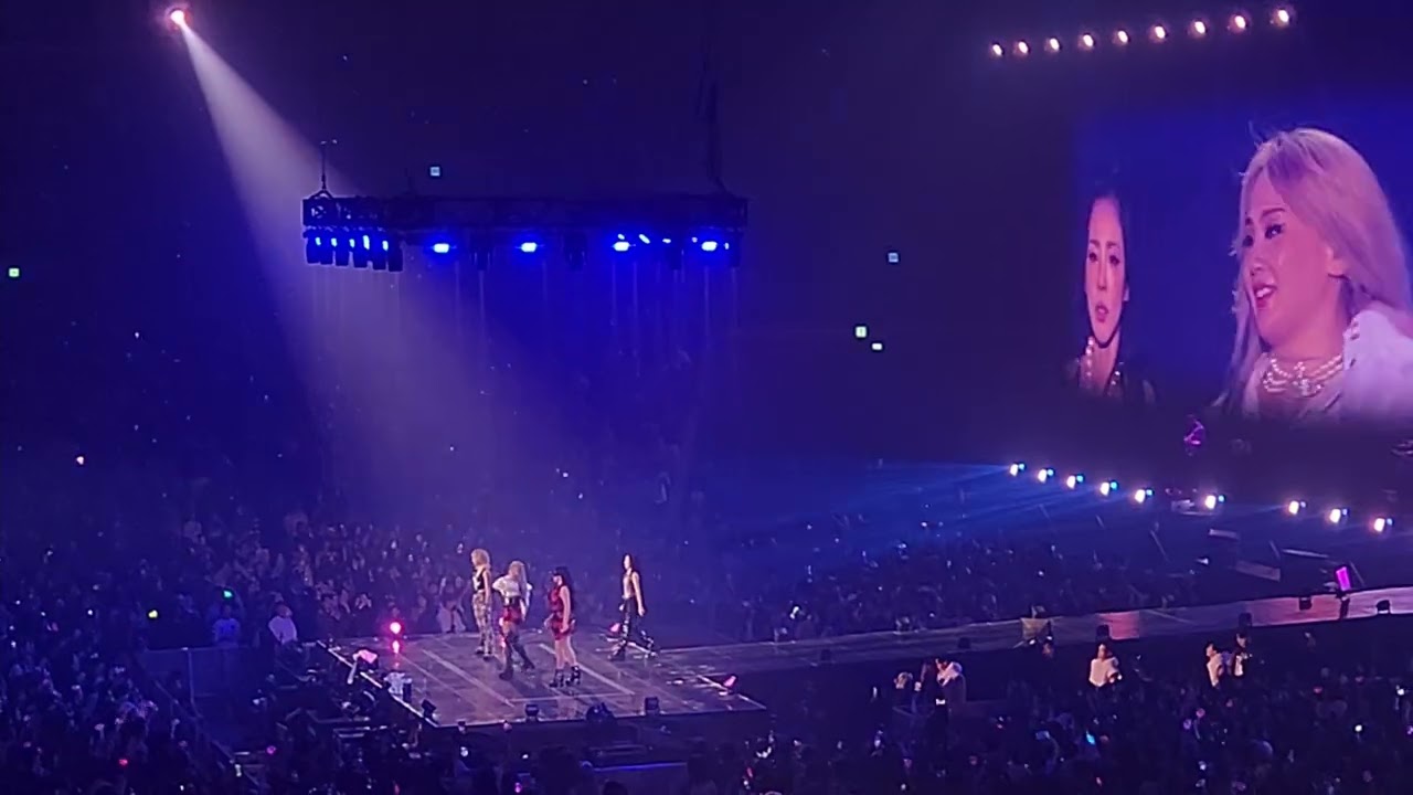 I Love You + Ugly + 너 아님 안돼 - 2NE1 (250413 WELCOME BACK - ENCORE IN SEOUL) ‎⁨@k-mola⁩ 