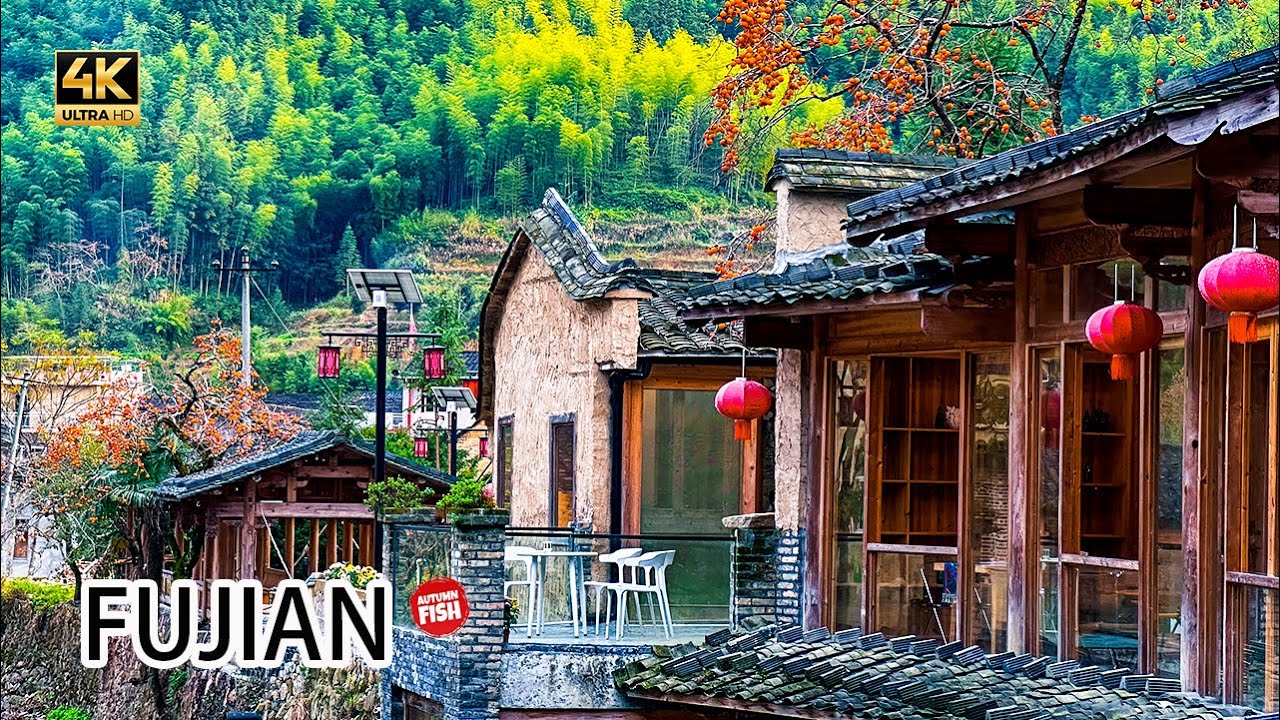 柿子挂满枝头的村子——屏南墘头古村  China 4K 2023年