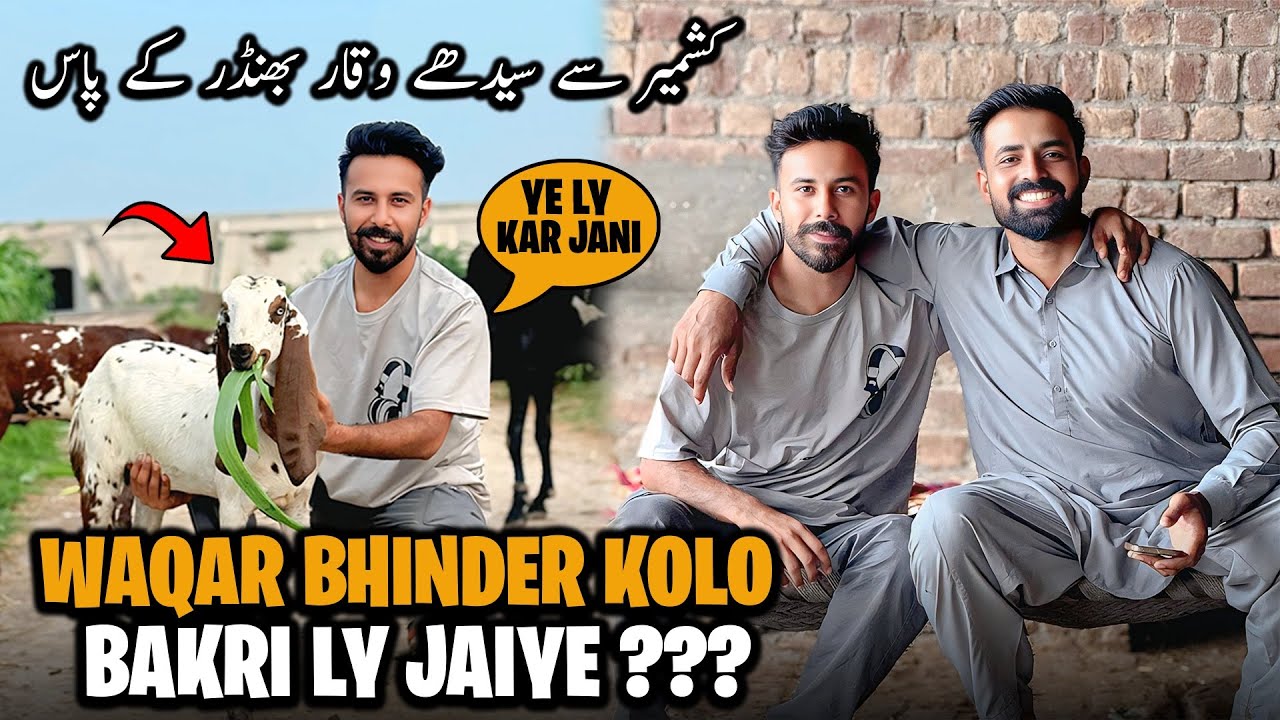 Waqar Bhinder Kolo Bakri ly Jaiye ?🤔 ਕਸ਼ਮੀਰ ਤੋਂ ਸਿੱਧਾ ਵਕਾਰ ਭਿੰਡਰ ਕੋਲ 😍