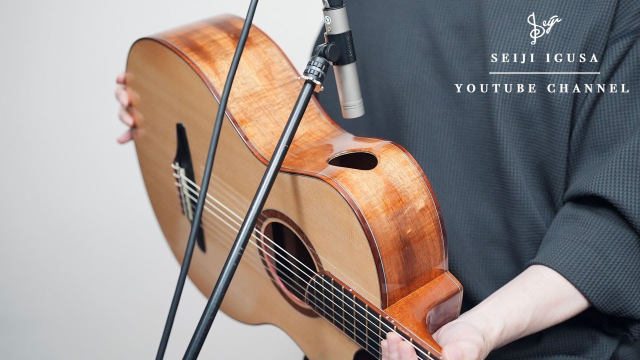 What Does the Sound Port on a Guitar Really Sound Like?