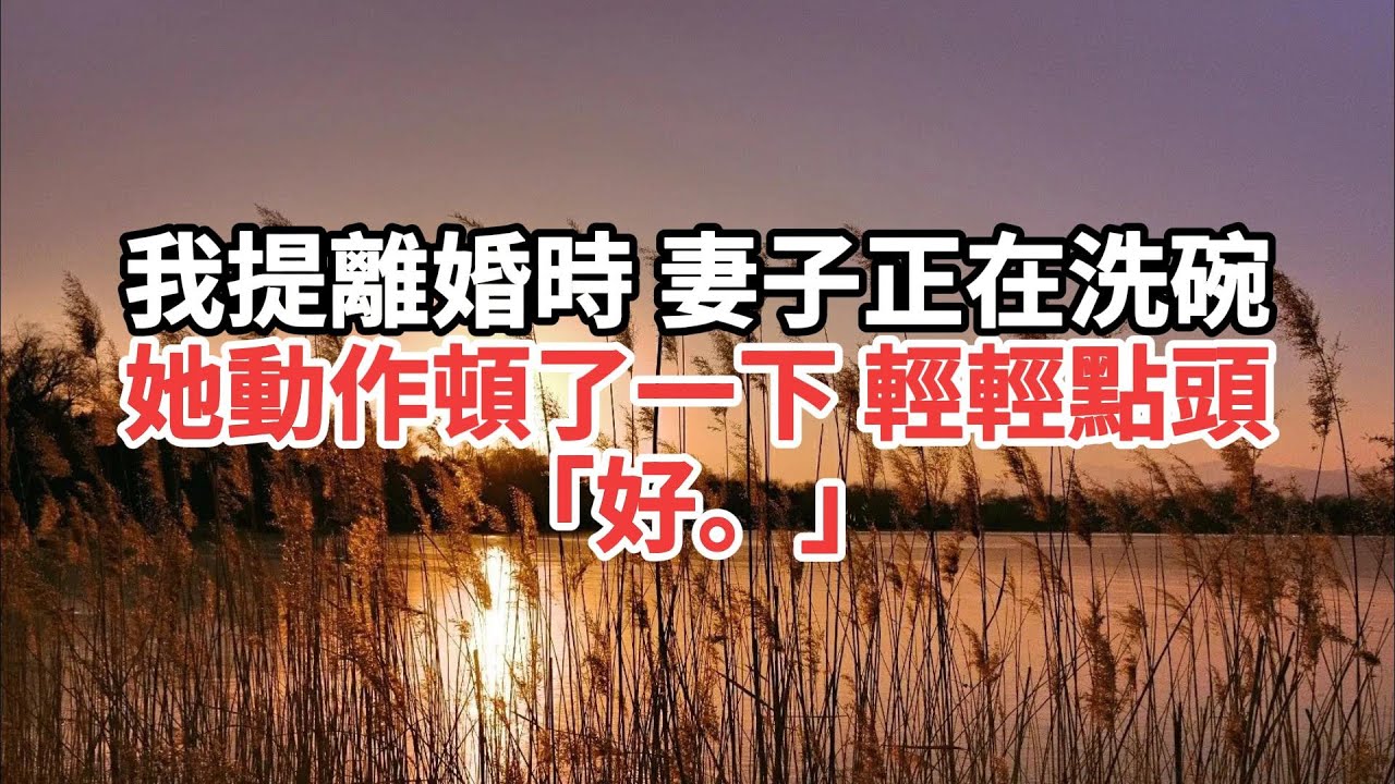 我提離婚時 妻子正在洗碗 她動作頓了一下 輕輕點頭 好#一口气看完 #故事 #小说