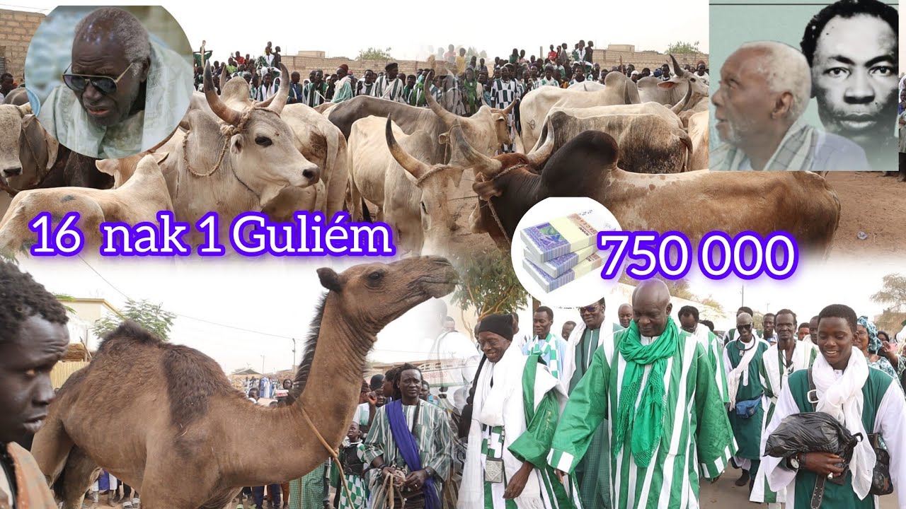 2ème Koumte 11ème jour Ramadan Adiya Wakeur Serigne Moudou Mbenda Fall 16 nak 1 Gulem ak 750 000f