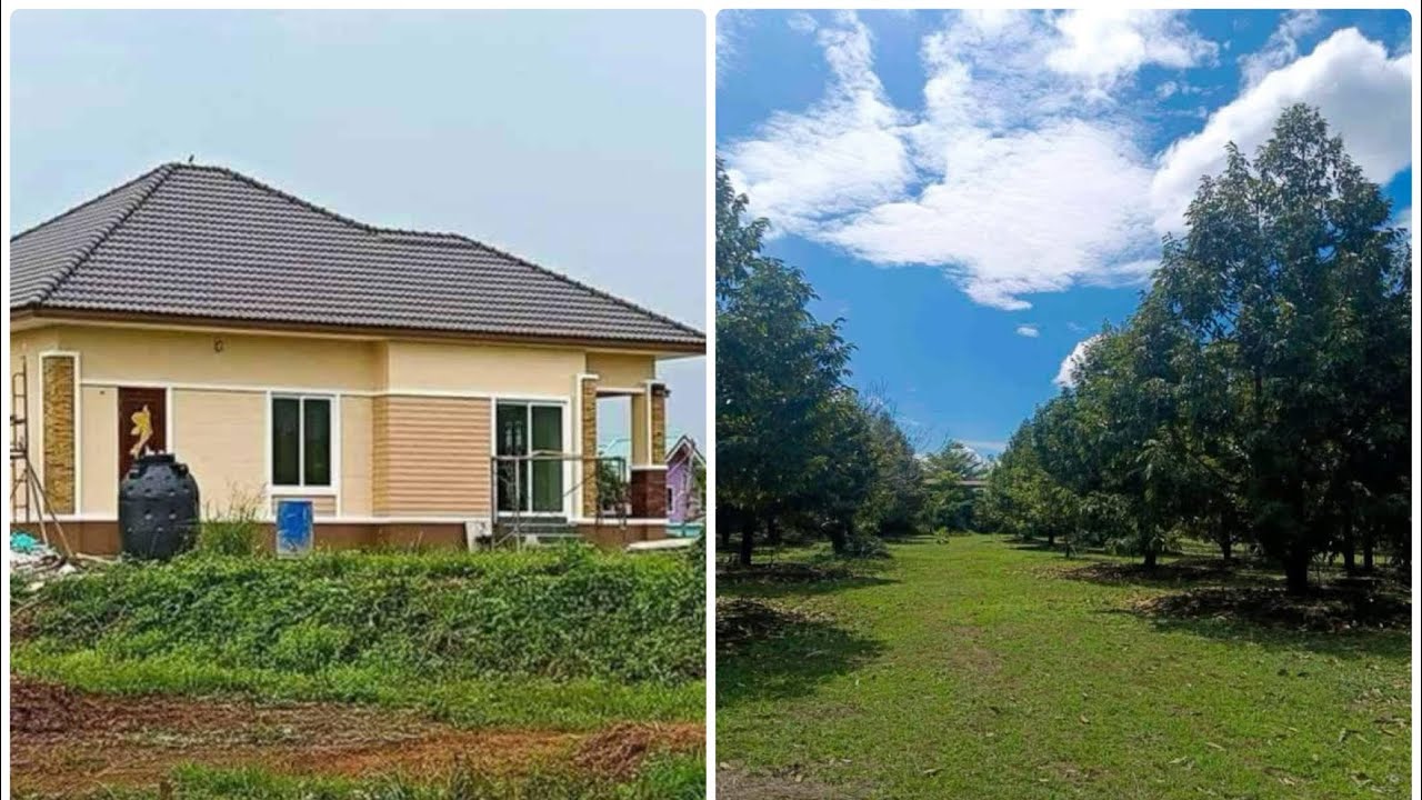 สวนทุเรียนพร้อมบ้าน เนื้อที่ 10 ไร่โฉนดไร่ละ 8.5 แสน ‼️ ฟรีค่าโอน กระเป๋าเข้าอยู่ทยอยถอนทุนได้เลย