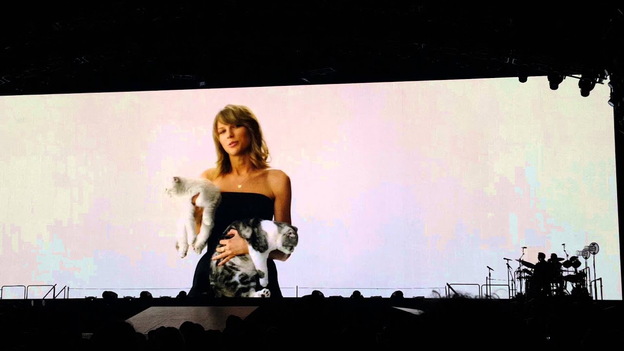 Taylor Swift with her cat at 1989 world tour