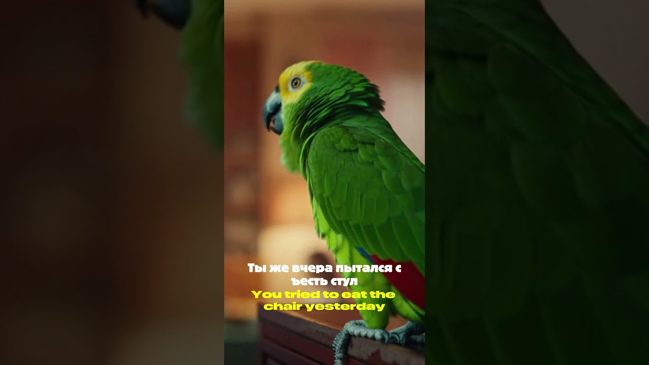 🦜 Рико знает слишком много&hellip; и сегодня он сдаст всех 😳🔥