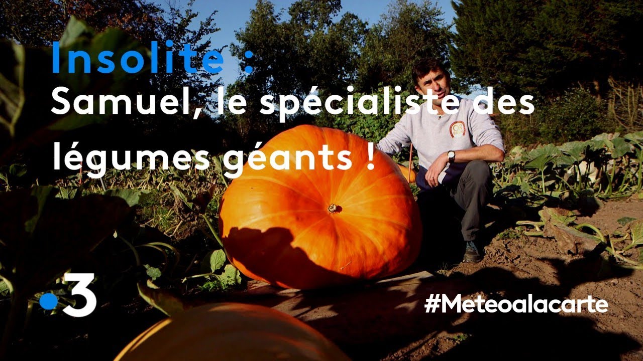 Samuel, le spécialiste des légumes géants ! - Météo à la carte