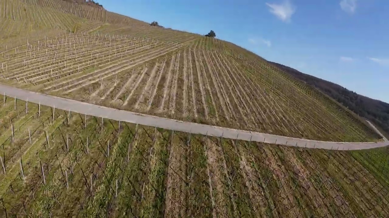 Weinberge mit Ausblick 