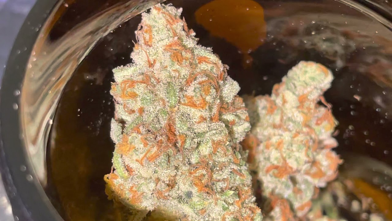 Read description in previous video . Mandarin Cookies x I-95 x Chem dawg