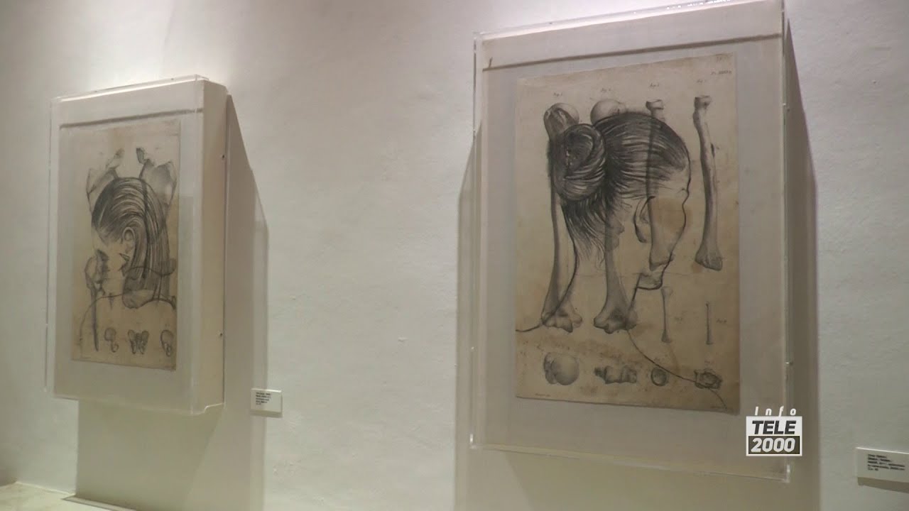 A Fano la mostra di Omar Galliani