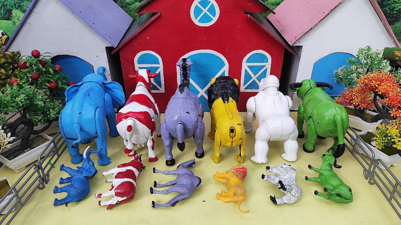 Wadidau ‼️ Proses Sapi Lucu Melahirkan Cesar, Simulasi Potong Sapi Qurbani, Idul Idha.