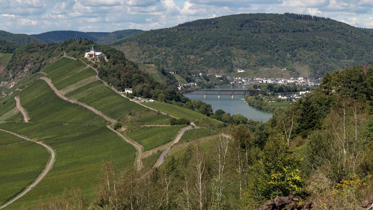 Wandelen langs de Moezel - Moselsteig etappe 14 - Reil-Zell