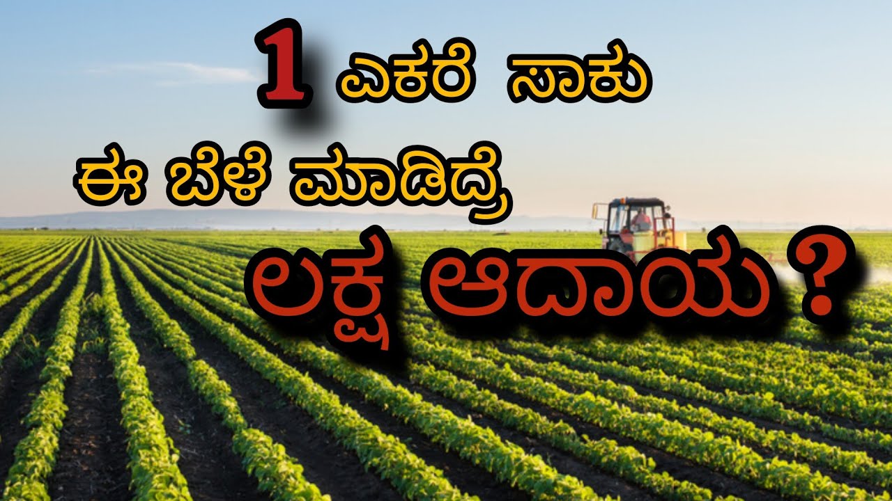 1 ಎಕರೆ ಸಾಕು! ಈ ಬೆಳೆ ಮಾಡಿದ್ರೆ ಲಕ್ಷ ಆದಾಯ? | Small Land High Profit Crops in Karnataka