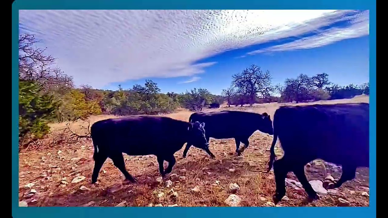 Simulation#1471
