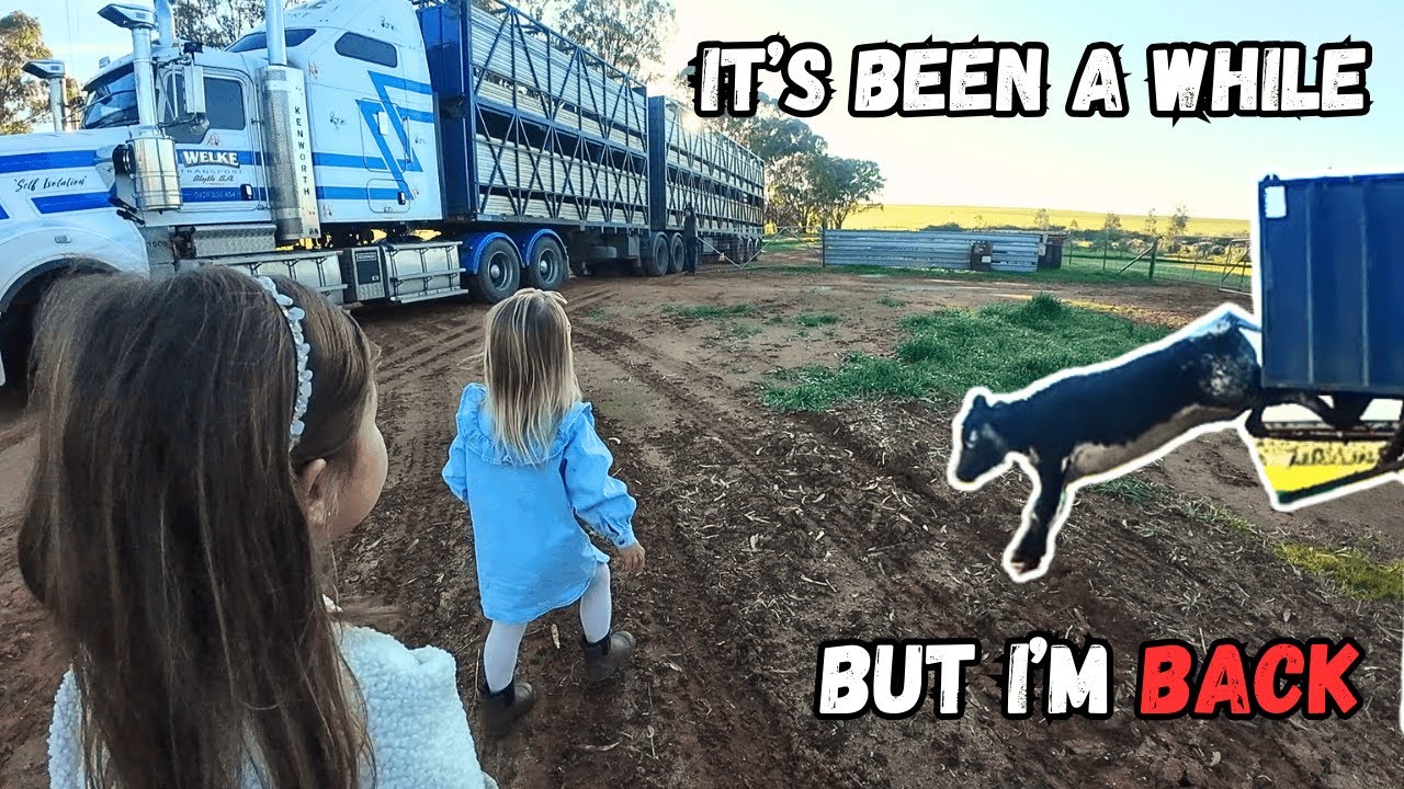 C'mon, I'll Show You | It's Better late Than Never | Seeding Clean Up, Crop Spraying & Cattle Arrive