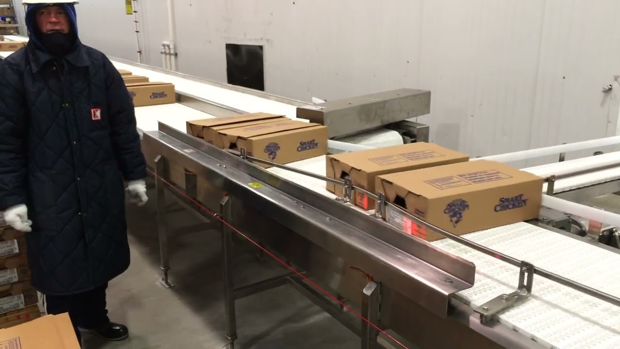 Stone Enterprises Box Handling Conveyor
