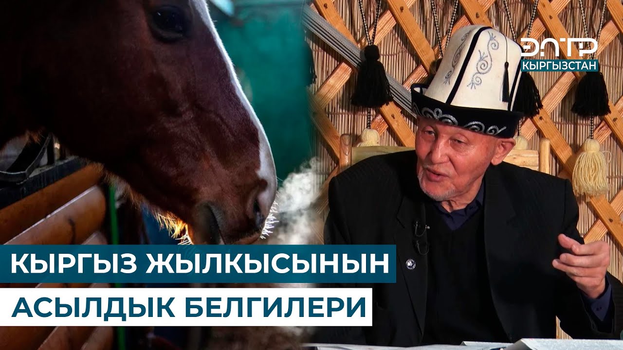 КЫРГЫЗ ЖЫЛКЫСЫНЫН АСЫЛДЫГЫНА ЖАРАША БӨЛҮНҮШҮ // МУРАС САБАТЫ