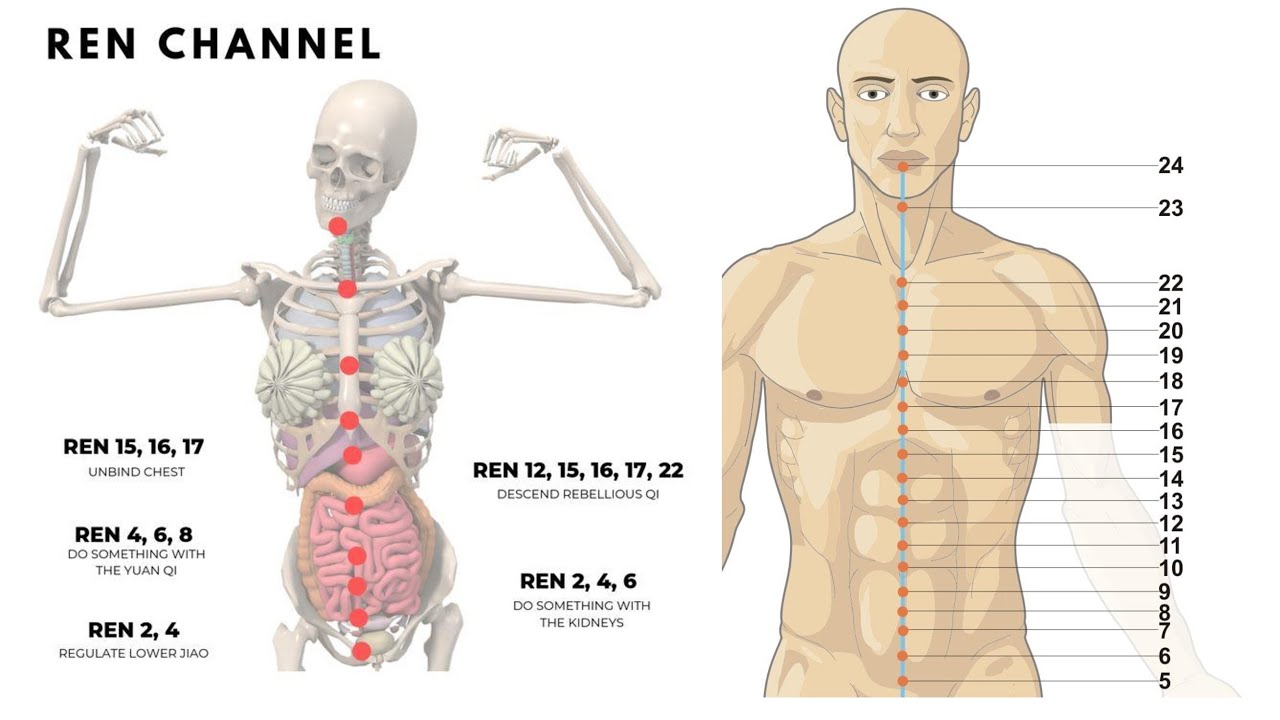 REN MAI (CONCEPTION/DIRECTING VESSEL) PATHWAY