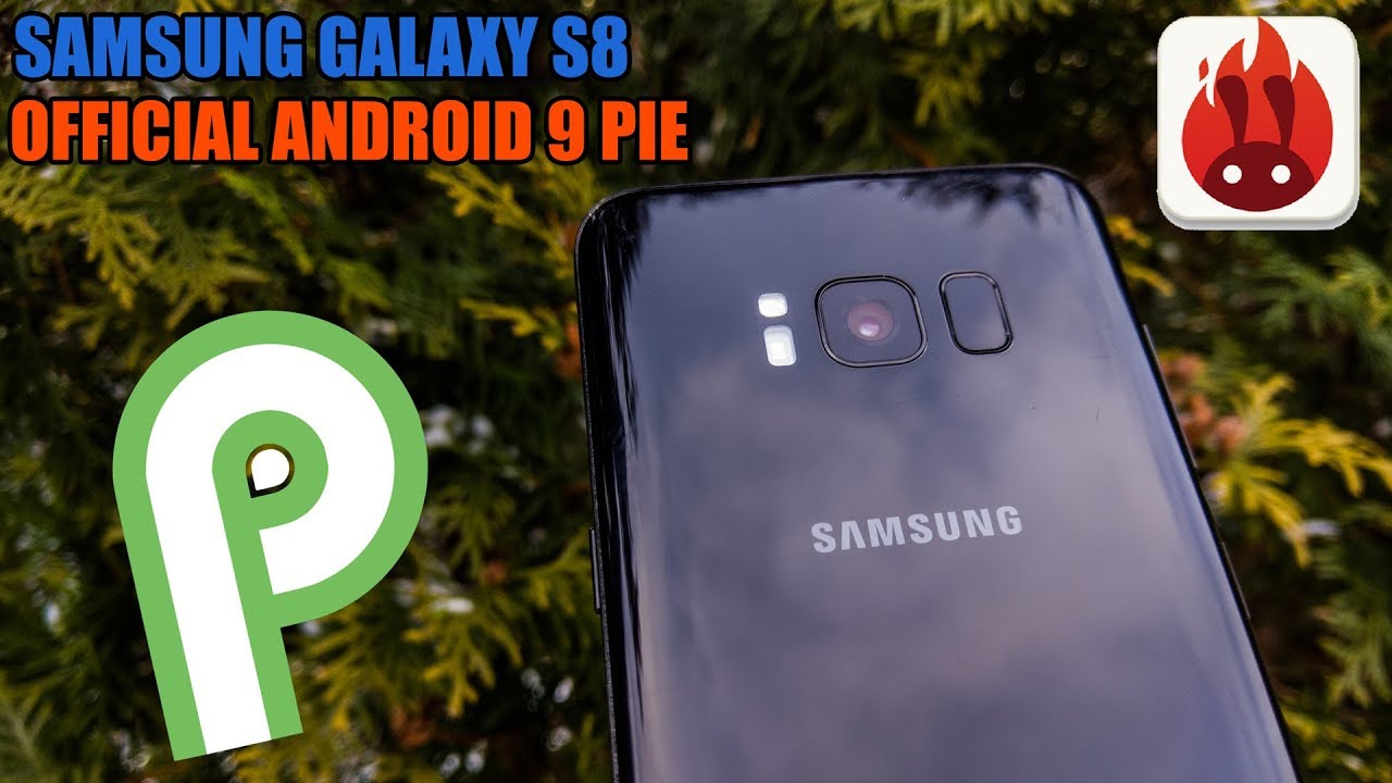 Samsung Galaxy S8 (Exynos) - OFFICIAL ANDROID 9 PIE - AnTuTu Benchmark Test