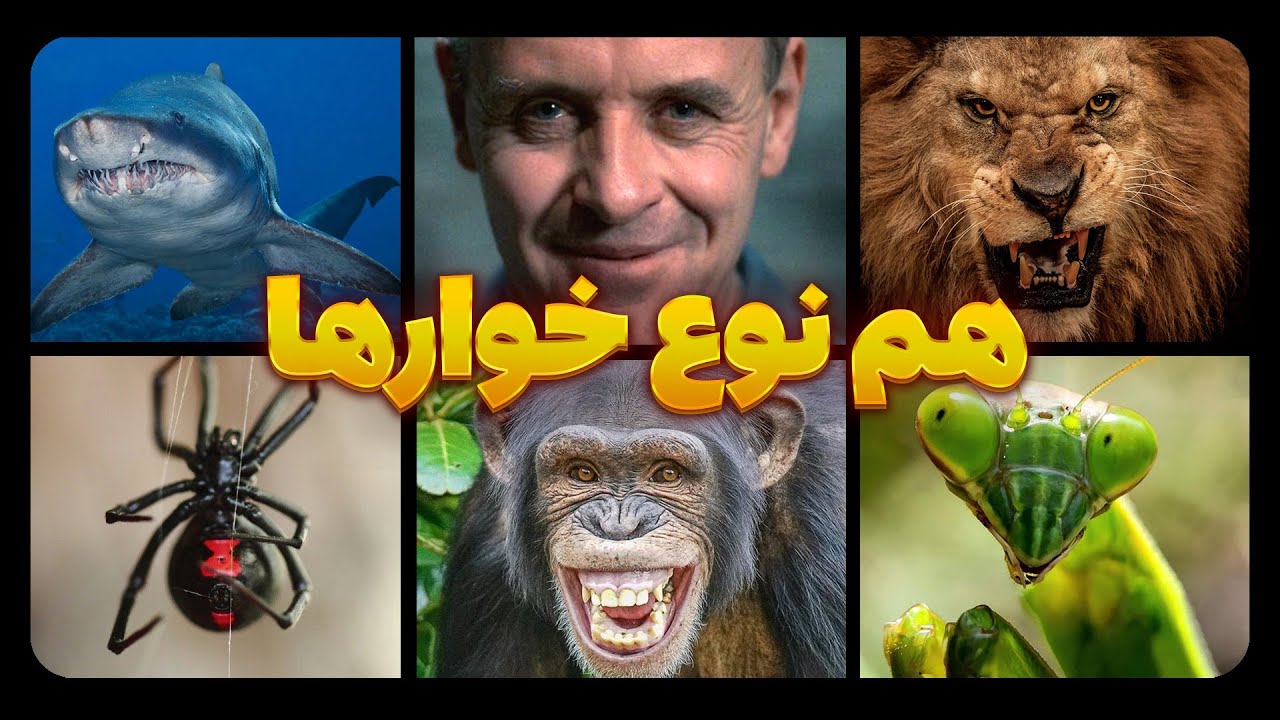 از شیر تا انسان: هم‌نوع‌خواری بخشی از طبیعته؟