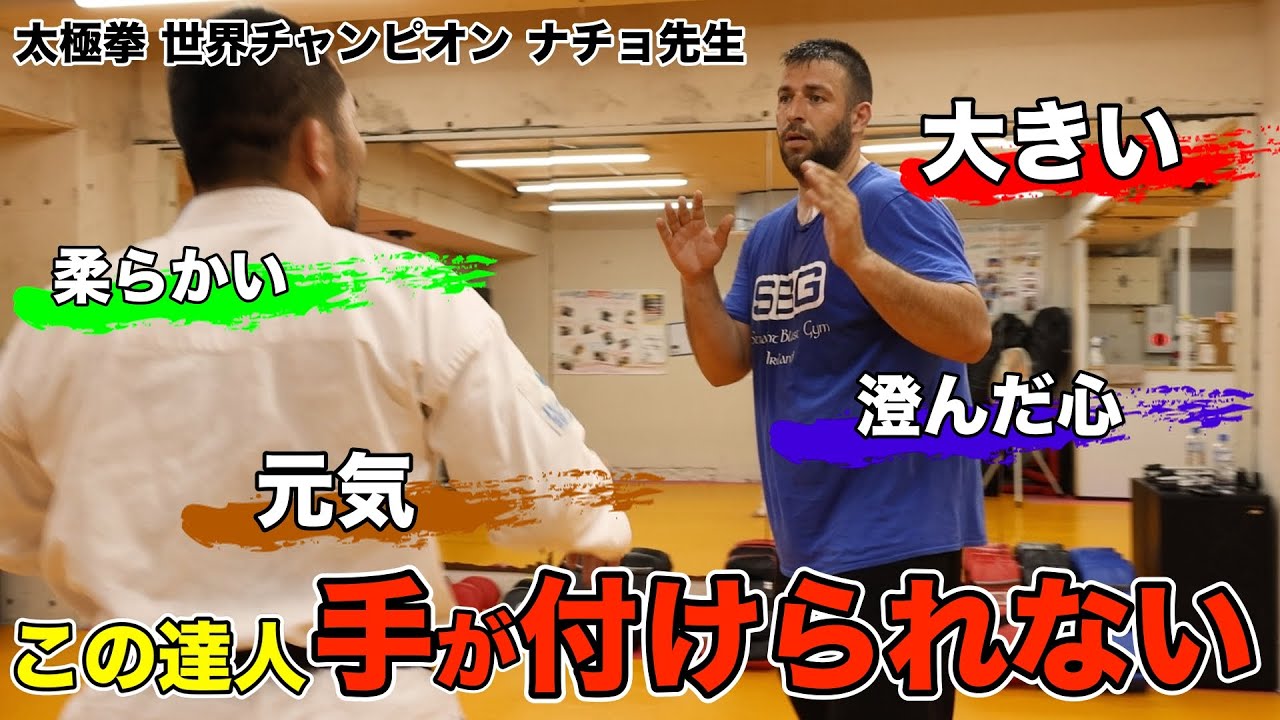 【Nacho de la Encina】スペインの太極拳世界王者とガチ対決！ 推手の超精密な技術に菊野驚愕！【太極拳】