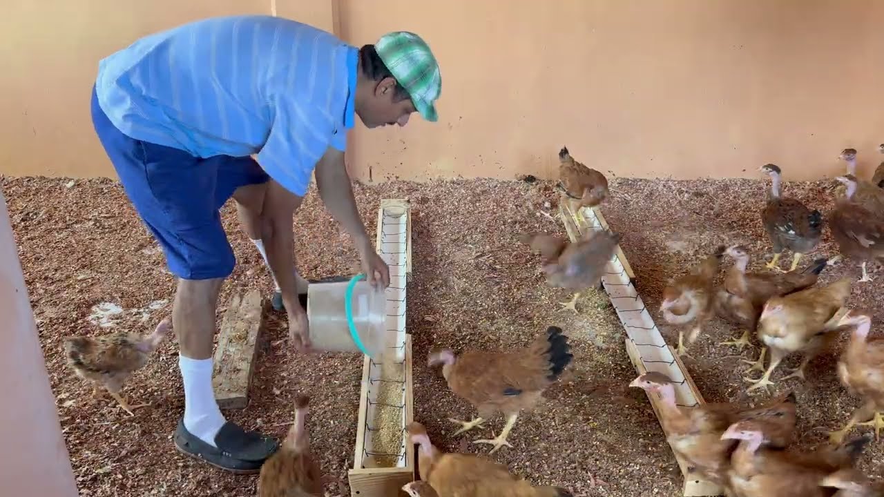 HACIENDO UN COMEDERO PARA GALLINAS DE MATERIAL RECICLADO