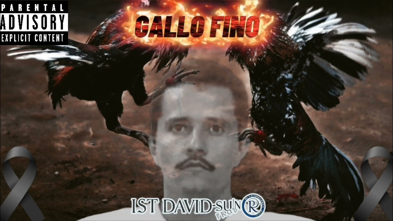 IST David - 