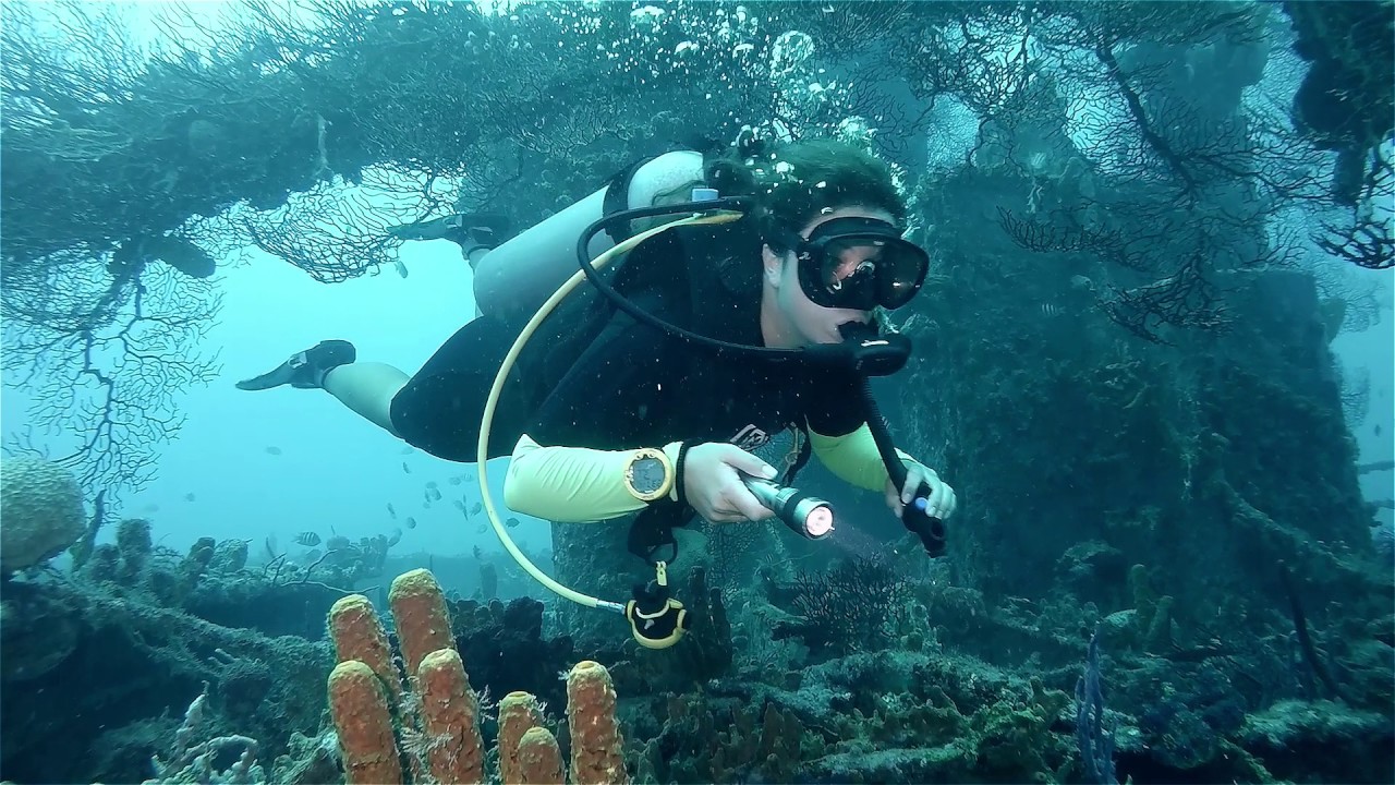 DIVE BARBADOS: The Scubaverse Trip Review