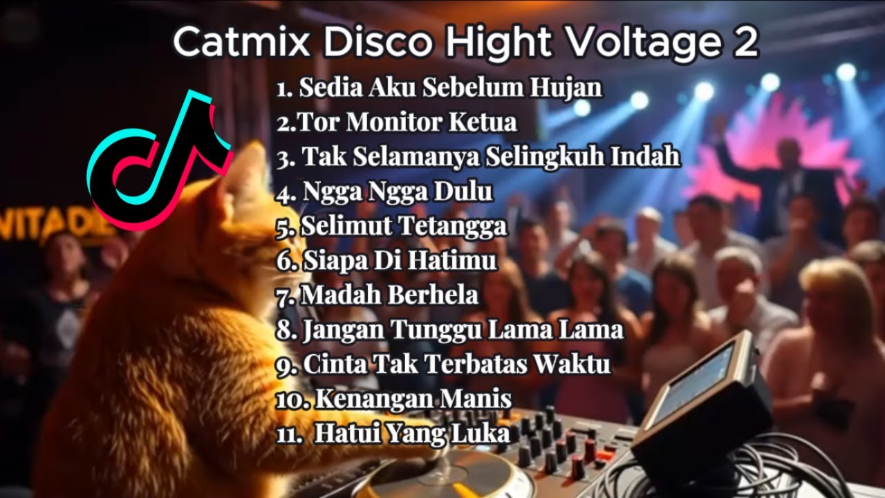 DJ Disco Catmix High Voltage Vol 2 | DJ Viral Tiktok | Ngga Ngga Duly