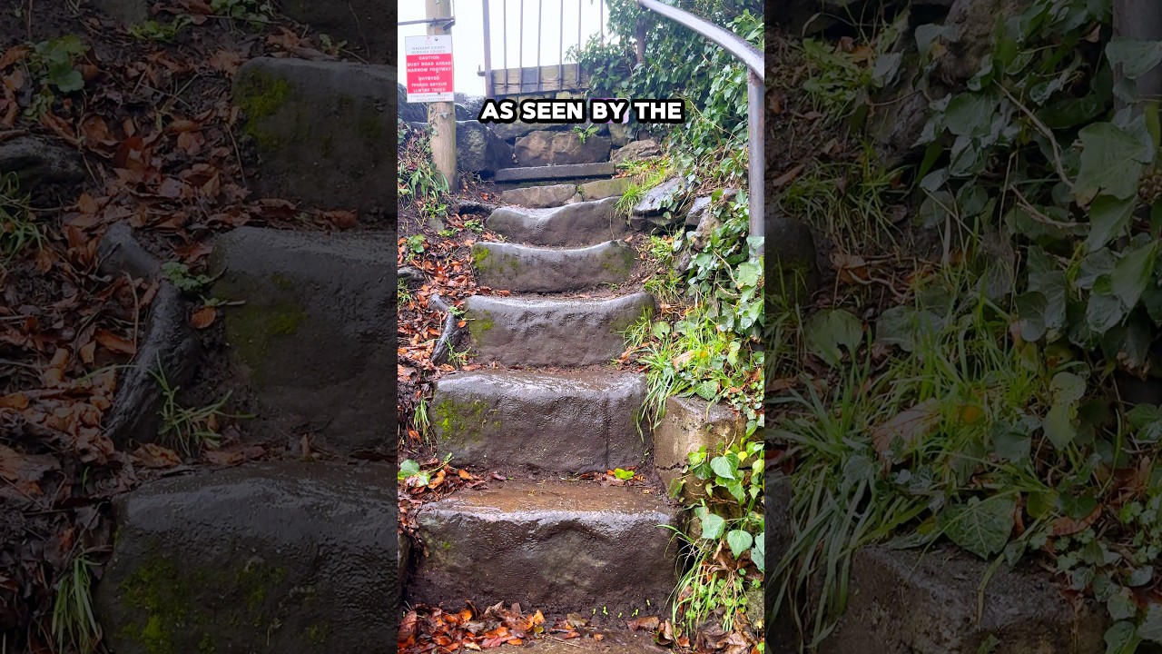 Hidden in Plain Sight! 