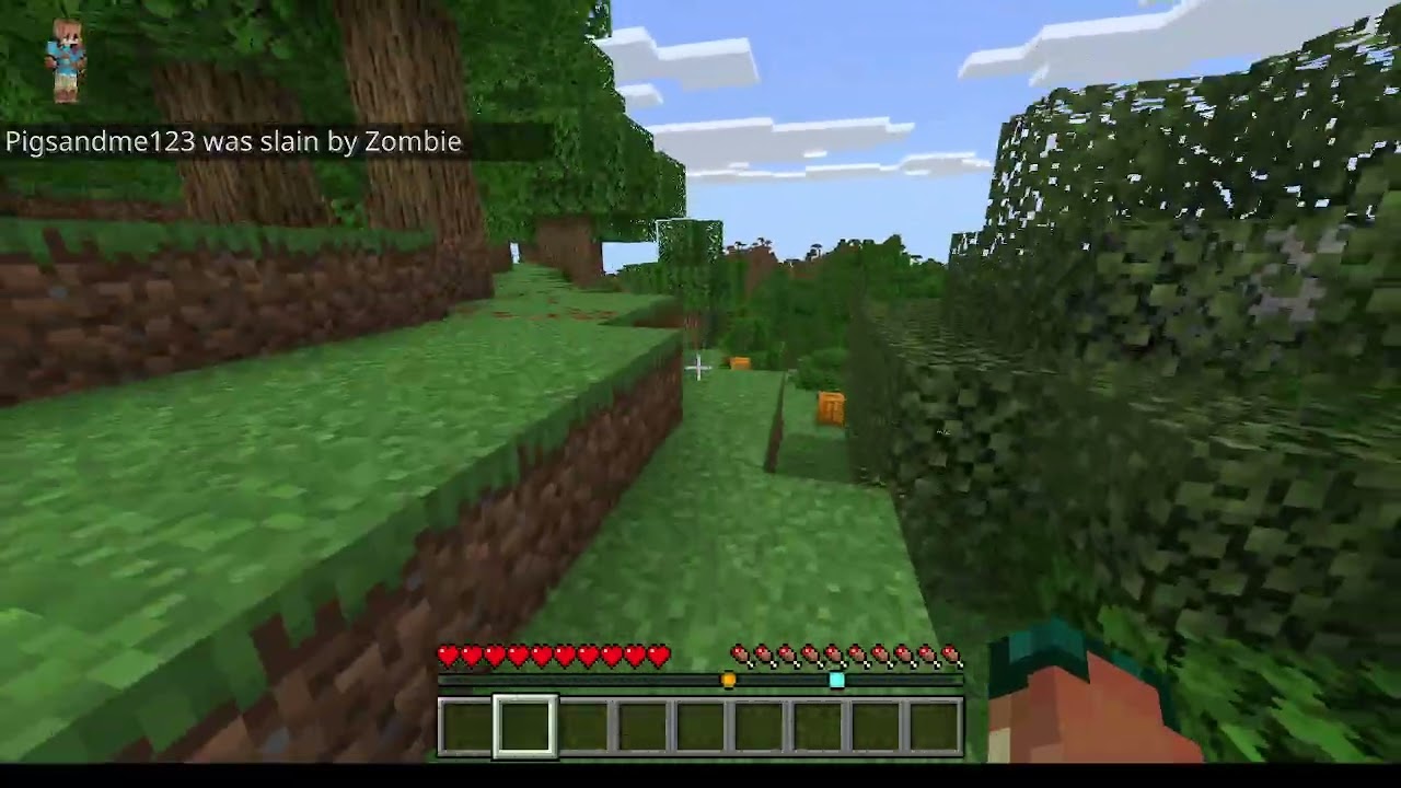 Minecraft with Dilin!
