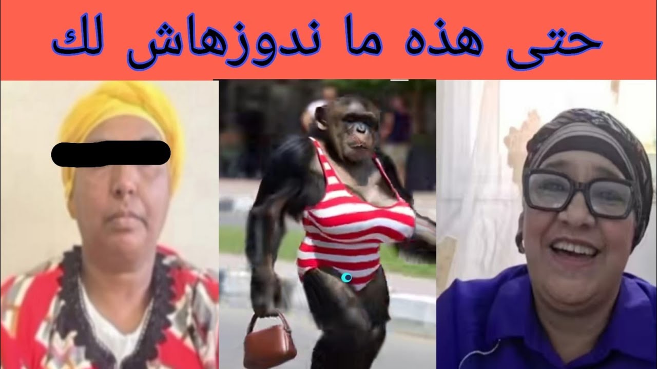 عاجل عييت ما نسكت لك كلنا طاطا بديعه مالكي البدويه