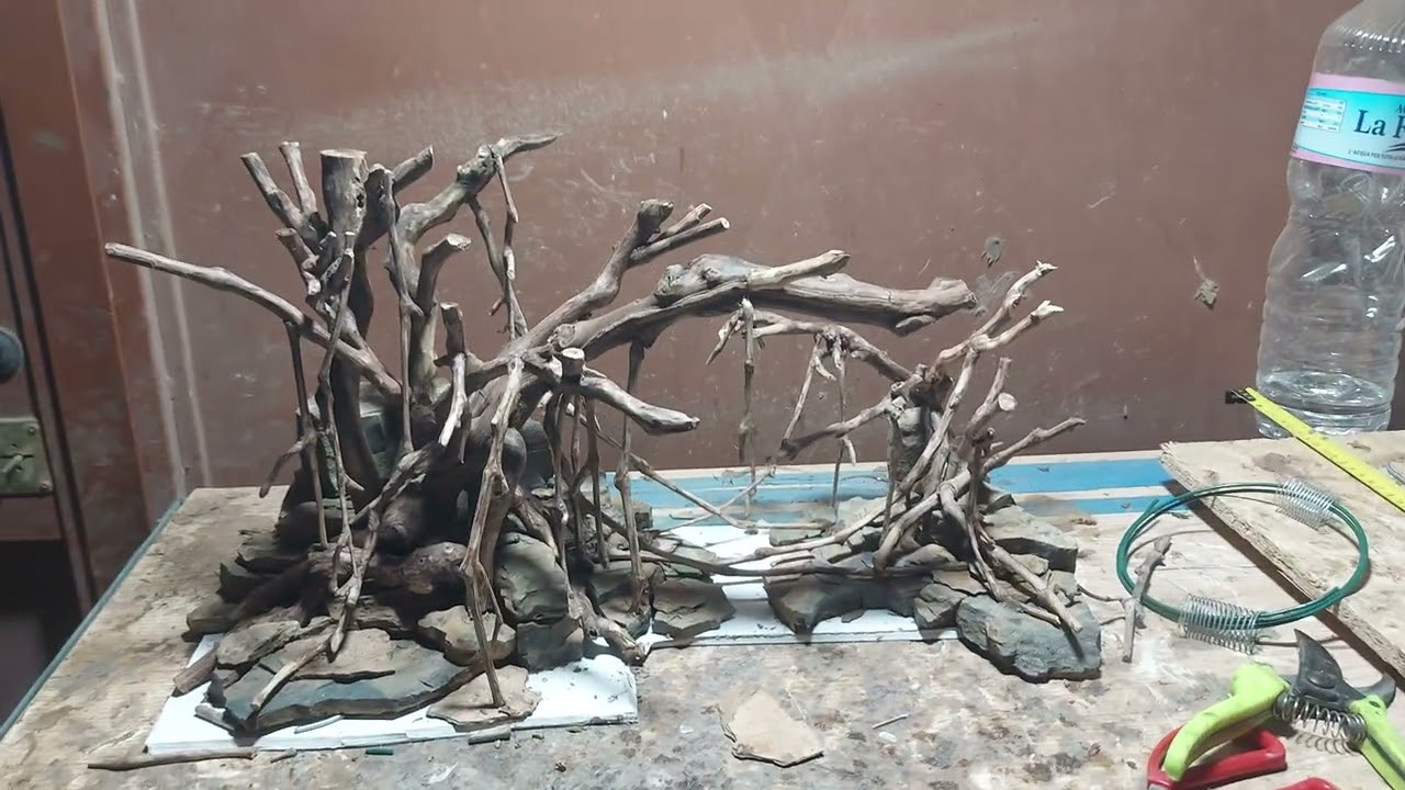 Layout per acquario artigianale  Un sotto bosco 