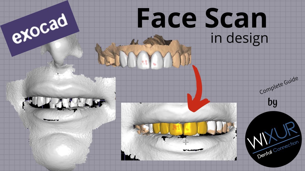 How To Use Face Scan in Design