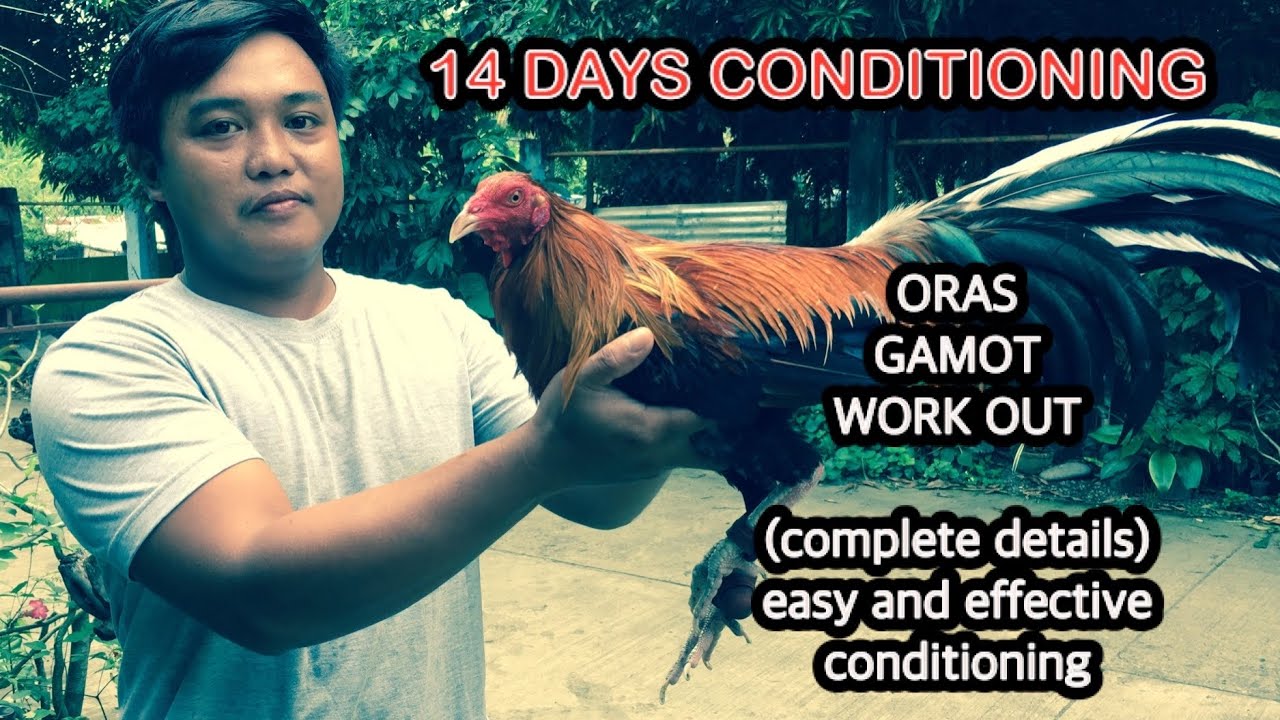 14 DAYS CONDITIONING | meds and vitamins + light trainings