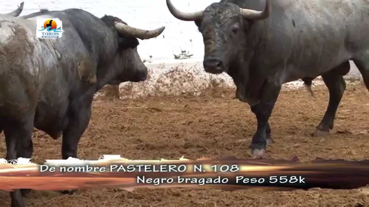 DESAFIO MIURA CONTRA VICTORINO  SABADO 7 DE MAYO
