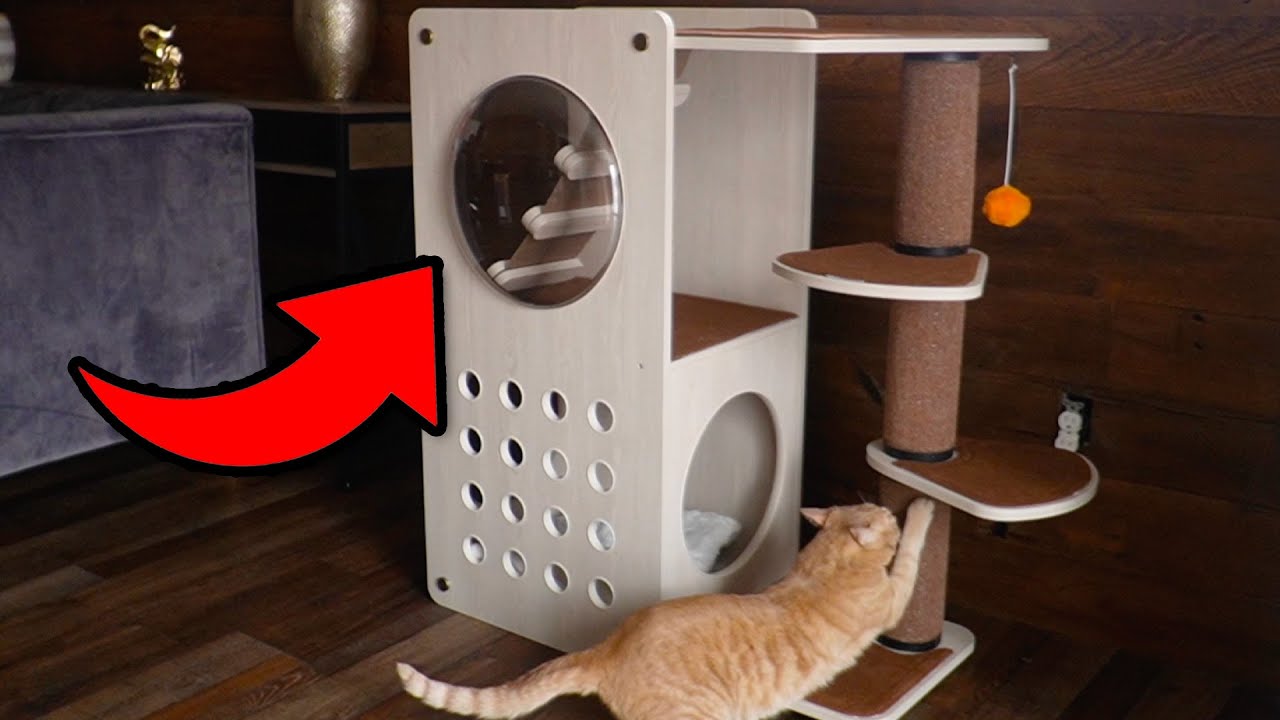 How To Build The Feandrea Clickat Collection Cat Tree