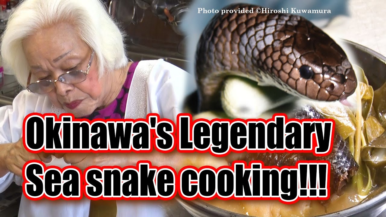 Okinawa's Legendary sea snake cooking