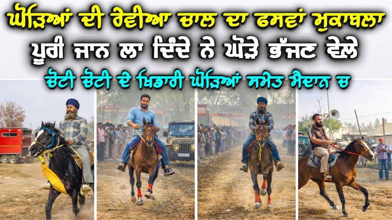 ਘੋੜਿਆਂ ਦੀ ਰੇਵੀਆ ਦੌੜ ਦਾ ਫਸਵਾਂ ਮੁਕਾਬਲਾ ਜਗਰਾਉਂ | Revia Chall Competition Jagraon 2026 | Rangle Punjabi